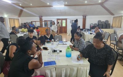 Social Services working session